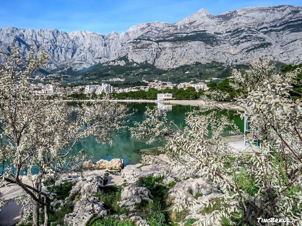Luxury Apartments Nadalina Sea View Μακάρσκα Εξωτερικό φωτογραφία